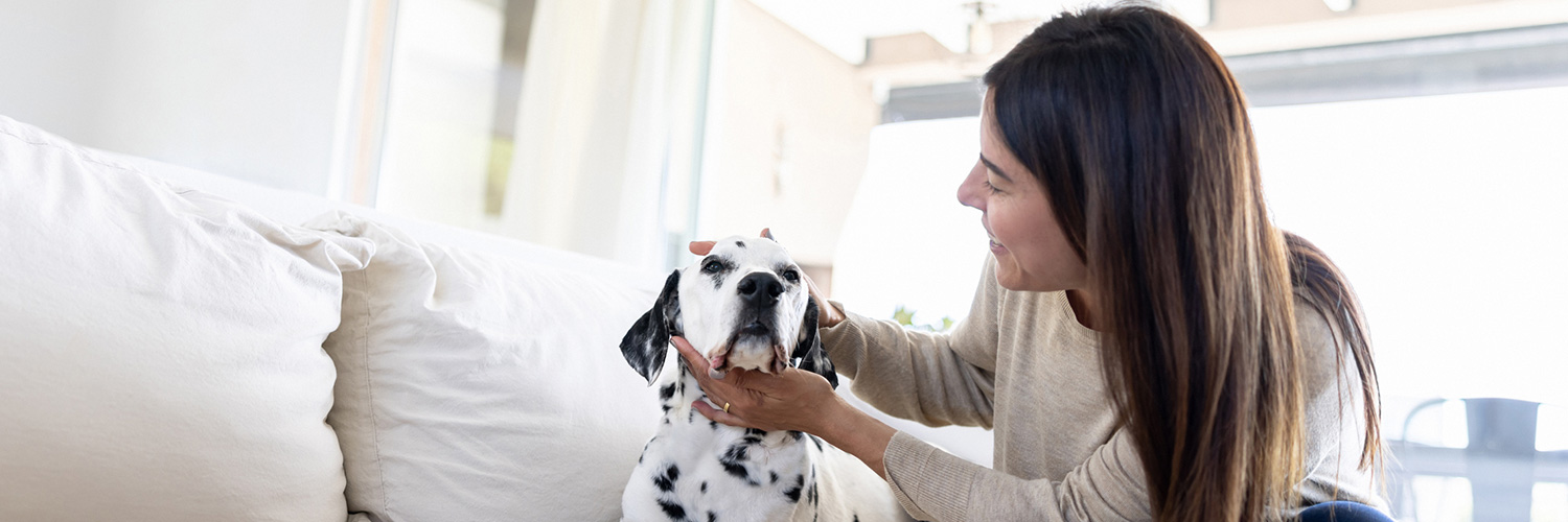 Arizona Pet Insurance Coverage